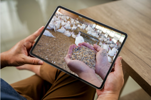 Alberta Turkey Producers Farm virtual Visit on a tablet