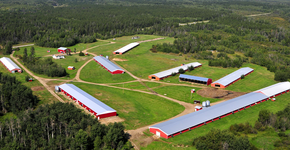 Alberta Turkey Producers Farm Picture from above